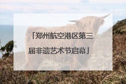 郑州航空港区第三届非遗艺术节启幕
