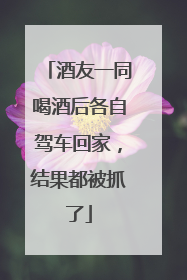 酒友一同喝酒后各自驾车回家，结果都被抓了