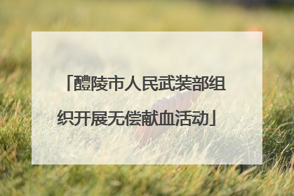 醴陵市人民武装部组织开展无偿献血活动