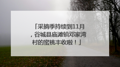 采摘季持续到11月，谷城县庙滩镇邓家湾村的蜜桃丰收啦！