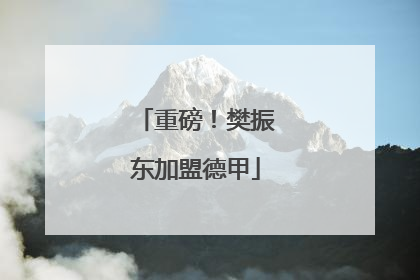 重磅！樊振东加盟德甲