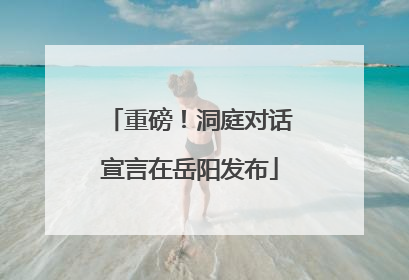 重磅！洞庭对话宣言在岳阳发布