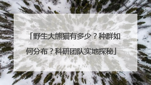 野生大熊猫有多少？种群如何分布？科研团队实地探秘