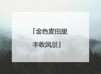 金色麦田里丰收风景
