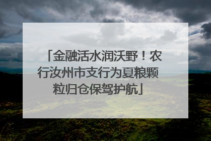 金融活水润沃野！农行汝州市支行为夏粮颗粒归仓保驾护航