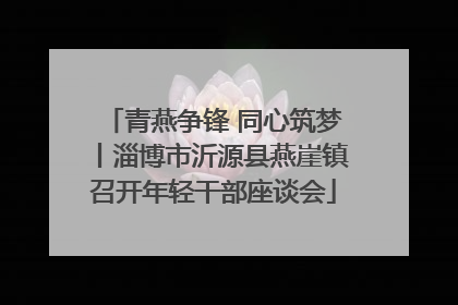 青燕争锋 同心筑梦丨淄博市沂源县燕崖镇召开年轻干部座谈会