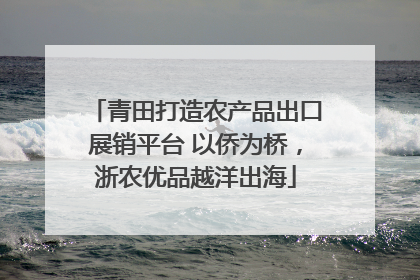 青田打造农产品出口展销平台 以侨为桥，浙农优品越洋出海