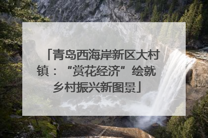 青岛西海岸新区大村镇：“赏花经济”绘就乡村振兴新图景
