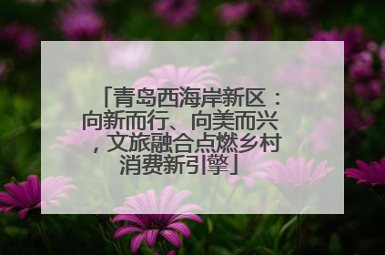 青岛西海岸新区：向新而行、向美而兴，文旅融合点燃乡村消费新引擎