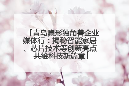 青岛隐形独角兽企业媒体行：揭秘智能家居、芯片技术等创新亮点 共绘科技新篇章