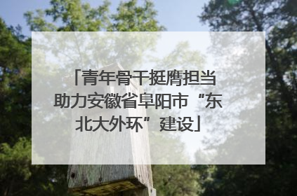 青年骨干挺膺担当 助力安徽省阜阳市“东北大外环”建设