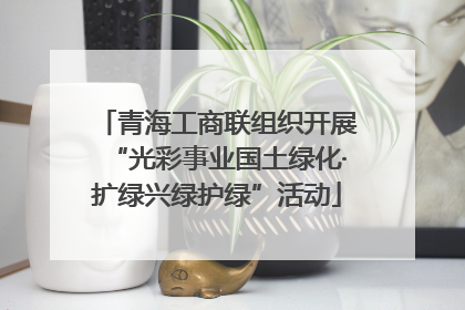 青海工商联组织开展“光彩事业国土绿化·扩绿兴绿护绿”活动