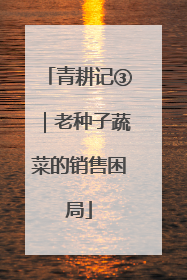 青耕记③｜老种子蔬菜的销售困局