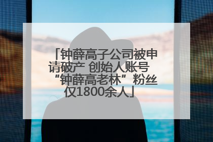 钟薛高子公司被申请破产 创始人账号“钟薛高老林”粉丝仅1800余人