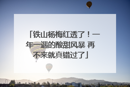 铁山杨梅红透了！一年一遇的酸甜风暴 再不来就真错过了