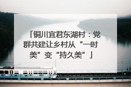 铜川宜君东湖村：党群共建让乡村从“一时美”变“持久美”