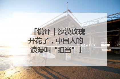 锐评｜沙漠玫瑰开花了，中国人的浪漫叫“担当”