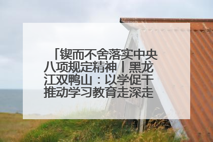 锲而不舍落实中央八项规定精神丨黑龙江双鸭山：以学促干推动学习教育走深走实 从小事入手写好“民生答卷”