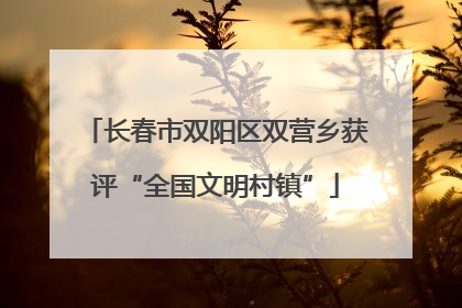 长春市双阳区双营乡获评“全国文明村镇”