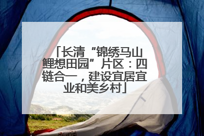 长清“锦绣马山 鲤想田园”片区：四链合一，建设宜居宜业和美乡村