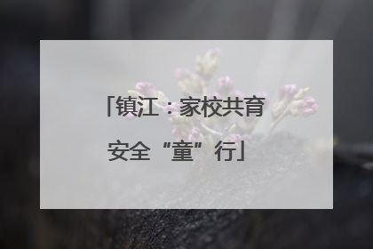 镇江：家校共育 安全“童”行