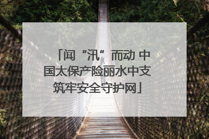 闻“汛”而动 中国太保产险丽水中支筑牢安全守护网