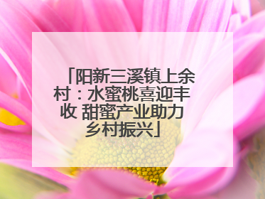 阳新三溪镇上余村：水蜜桃喜迎丰收 甜蜜产业助力乡村振兴