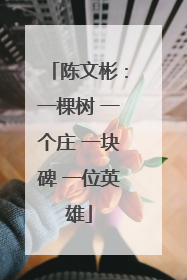 陈文彬：一棵树 一个庄 一块碑 一位英雄
