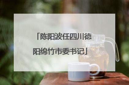 陈阳波任四川德阳绵竹市委书记