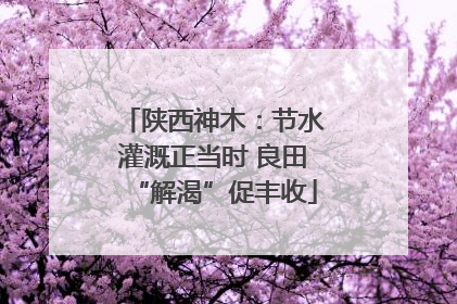陕西神木：节水灌溉正当时 良田“解渴”促丰收