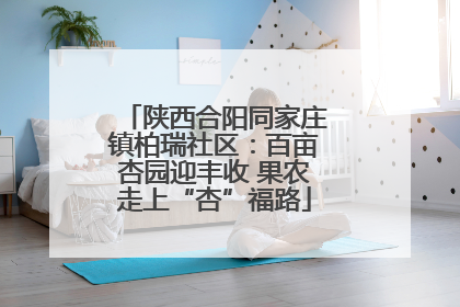 陕西合阳同家庄镇柏瑞社区：百亩杏园迎丰收 果农走上“杏”福路