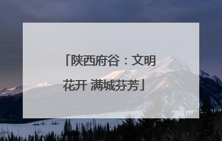 陕西府谷：文明花开 满城芬芳