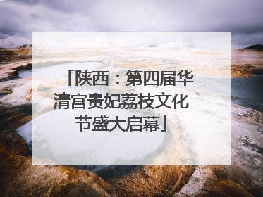 陕西：第四届华清宫贵妃荔枝文化节盛大启幕