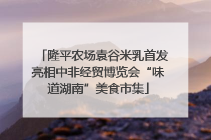隆平农场袁谷米乳首发亮相中非经贸博览会“味道湖南”美食市集