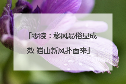 零陵：移风易俗显成效 岿山新风扑面来