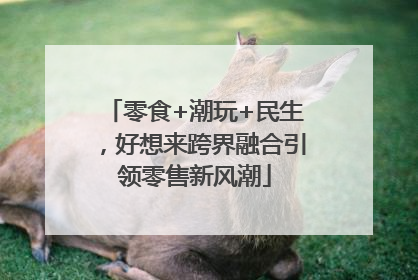 零食+潮玩+民生，好想来跨界融合引领零售新风潮
