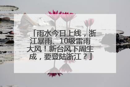 雨水今日上线，浙江暴雨、10级雷雨大风！新台风下周生成，要登陆浙江？