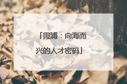 霞浦：向海而兴的人才密码
