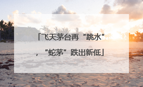 飞天茅台再“跳水”，“蛇茅”跌出新低