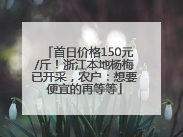 首日价格150元/斤！浙江本地杨梅已开采，农户：想要便宜的再等等