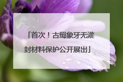 首次！古蜀象牙无灌封材料保护公开展出