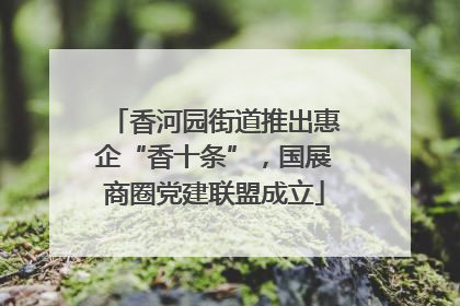 香河园街道推出惠企“香十条”，国展商圈党建联盟成立