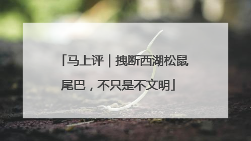 马上评｜拽断西湖松鼠尾巴，不只是不文明