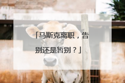 马斯克离职，告别还是暂别？
