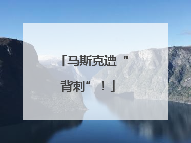 马斯克遭“背刺”！