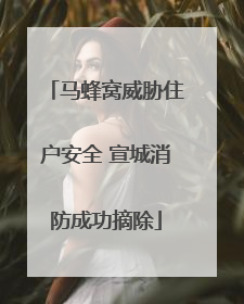 马蜂窝威胁住户安全 宣城消防成功摘除