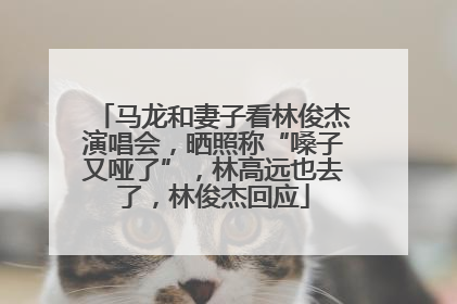 马龙和妻子看林俊杰演唱会，晒照称“嗓子又哑了”，林高远也去了，林俊杰回应