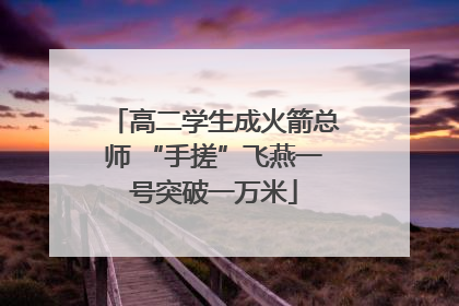 高二学生成火箭总师 “手搓”飞燕一号突破一万米