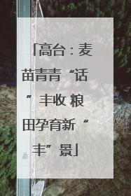 高台：麦苗青青“话”丰收 粮田孕育新“丰”景