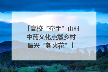 高校“牵手”山村 中药文化点燃乡村振兴“新火花”